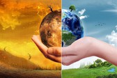 Chính phủ phê duyệt Thỏa thuận thực hiện theo Điều 6 Thỏa thuận Paris về biến đổi khí hậu