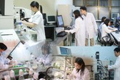 Chỉ đạo, điều hành của Chính phủ, Thủ tướng Chính phủ nổi bật tuần 8-14/8/2026