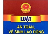 Chính phủ thông qua dự án Luật sửa đổi, bổ sung một số điều của Luật An toàn, vệ sinh lao động