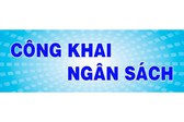 VPCP công bố công khai dự toán ngân sách năm 2026