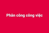 Cử gi&#250;p việc Ph&#243; Chủ nhiệm Văn ph&#242;ng Ch&#237;nh phủ