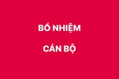 Bổ nhiệm lại Ph&#243; Vụ trưởng Vụ Tổ chức c&#225;n bộ