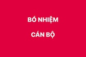 Điều động, bổ nhiệm Ph&#243; Vụ trưởng Vụ I