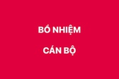 Bổ nhiệm Vụ trưởng Vụ Tổng hợp