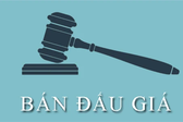 Th&#244;ng b&#225;o tổ chức b&#225;n đấu gi&#225; t&#224;i sản