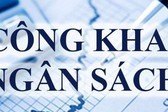 Văn phòng Chính phủ công bố công khai bổ sung dự toán ngân sách năm 2025