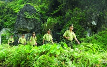 Nâng cao năng lực quản lý, bảo vệ rừng cho lực lượng kiểm lâm