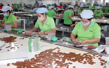 Bến Tre đề nghị được hỗ trợ để đẩy mạnh tiêu thụ các sản phẩm từ dừa