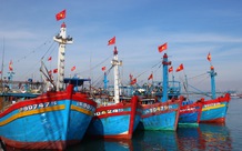 Thủ tướng Chính phủ yêu cầu Bộ NN&PTNT nghiên cứu hỗ trợ ngư dân ảnh hưởng do giá xăng, dầu