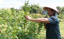 47 người chấp hành xong án phạt tù tại Quảng Ninh có nhu cầu vay vốn