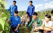 Chế độ đối với trí thức trẻ đã tham gia Đề án 500