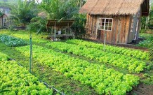 Điều kiện, hồ sơ đề nghị chuyển đất nông nghiệp thành đất ở