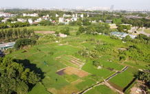 Cơ quan nào xác định nguồn gốc đất thu hồi?