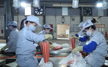 Xác định thời gian làm việc để đóng BHXH