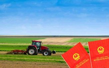 Điều kiện xem xét cấp quyền sử dụng đất nông nghiệp