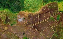 DN nhận chuyển nhượng đất nông nghiệp có phải lập phương án sử dụng?