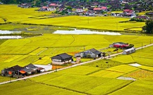 Điều kiện, thủ tục chuyển đất trồng lúa sang đất ở nông thôn