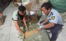 Ứng dụng công nghệ truy quét hàng giả, hàng nhái trên sàn thương mại điện tử