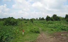 Đất khai hoang có xin cấp Giấy chứng nhận được không?