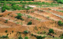 Đất khai hoang có được cấp Giấy chứng nhận là đất ở?