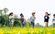 Đảng viên sinh con thứ 3 không bị kỷ luật
