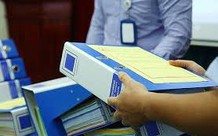 Công ty con có được tham gia gói thầu của công ty mẹ?