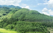 Thẩm quyền xây dựng khung giá rừng