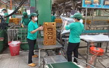 Ghi tên nghề, công việc nặng nhọc, độc hại thế nào là đúng?