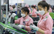 Chi nhánh có cần Giấy chứng nhận đăng ký đầu tư?