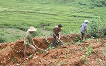 Được xác định lại diện tích đất ở trong trường hợp nào?