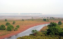 Đất bãi bồi sử dụng ổn định có được bồi thường khi thu hồi?