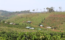 Chuyển nhượng đất nông nghiệp trước thu hồi, chủ mới có được hỗ trợ?