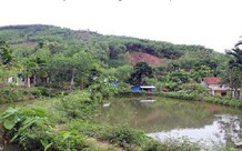 Căn cứ xác định là đất vườn, ao gắn liền đất ở 