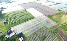 Mua đất nông nghiệp đã có nhà, có bị xử phạt khi chuyển mục đích sử dụng?