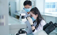 Học lên đại học có phải thực hành lại để cấp giấy phép hành nghề xét nghiệm?