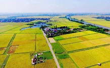Cách xác định nhân khẩu được hỗ trợ khi thu hồi đất ruộng