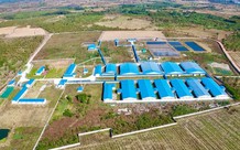 Đất nông nghiệp góp vốn đã hết hạn, có được gia hạn sử dụng?