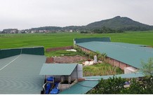 Mở trang trại chăn nuôi trên đất trồng cây, cần thủ tục gì?