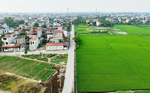Đất lúa cạnh khu dân cư có được chuyển sang đất ở?