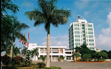 Bộ môn trong trường đại học phải trực thuộc trường hay khoa?