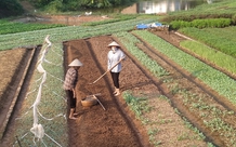 Điều kiện hỗ trợ đào tạo nghề khi thu hồi đất nông nghiệp