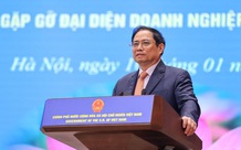 越南政府总理范明正与老挝总理潘坎•维帕万会见越老大型企业领导代表