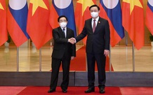 越南国会主席王廷惠会见老挝总理潘坎·维帕万