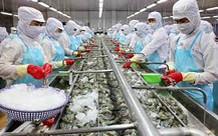 Xuất khẩu thủy sản ước đạt 8,89 tỷ USD năm 2021