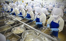 Nhập khẩu thủy sản yêu cầu C/O gốc, có bất hợp lý?