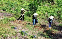 Đơn giá ngày công tối thiểu cho lao động hợp đồng