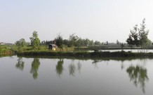 Tự san lấp hồ nuôi trồng thủy sản, xử lý thế nào?