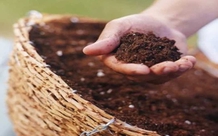 Đất sạch có được coi là một loại phân bón?