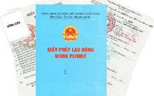 Xin cấp giấy phép lao động tại trụ sở hay chi nhánh?