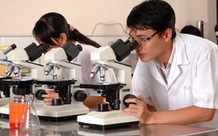 Tiền công nhiệm vụ KHCN không căn cứ mức lương hiện hưởng